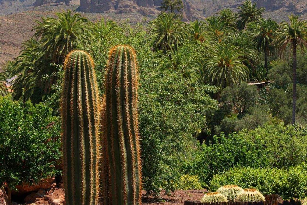 Santa Lucia Casa Rural La Fuente De La Flora المظهر الخارجي الصورة